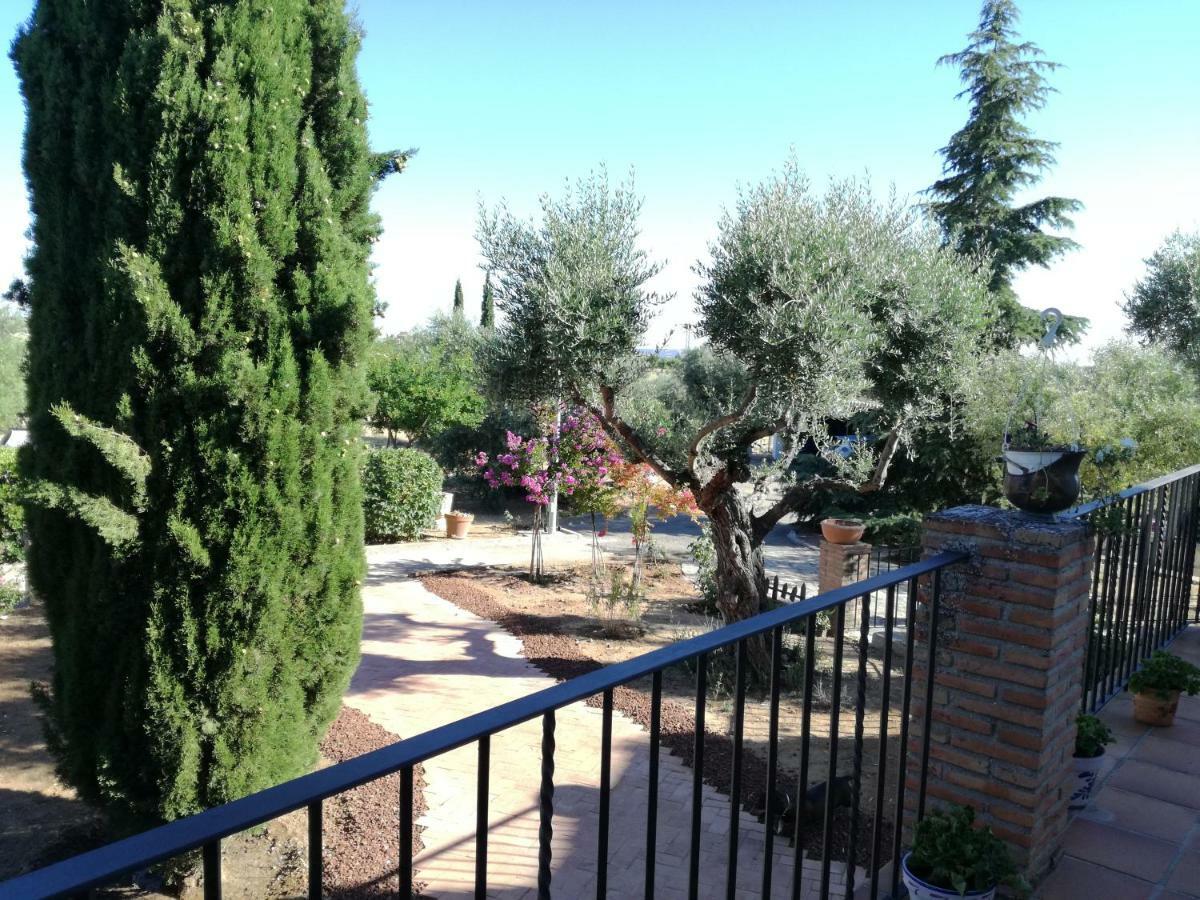 Вілла Casa Rural La Amistad Burguillos de Toledo Екстер'єр фото