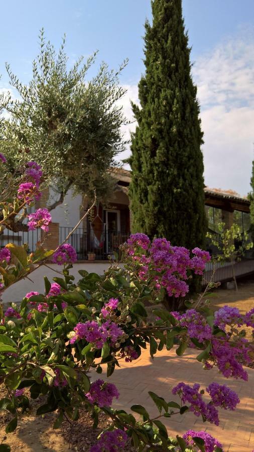 Вілла Casa Rural La Amistad Burguillos de Toledo Екстер'єр фото
