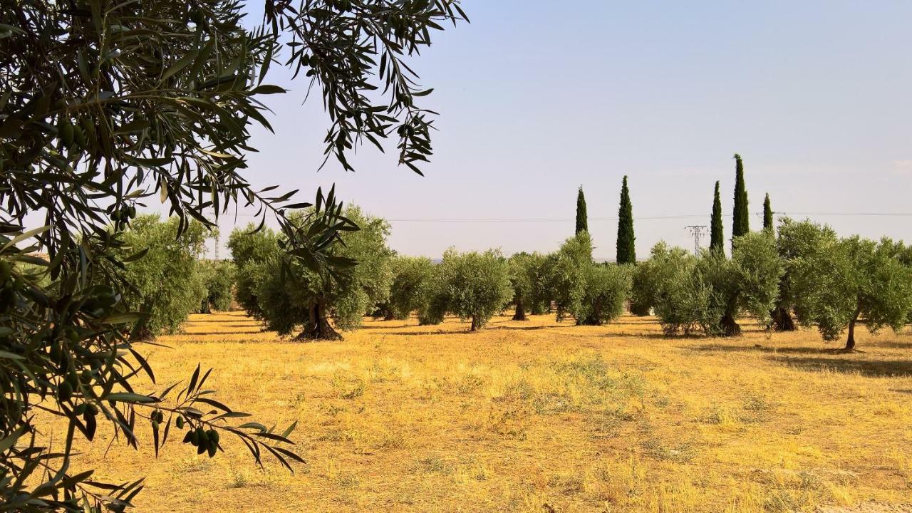Вілла Casa Rural La Amistad Burguillos de Toledo Екстер'єр фото